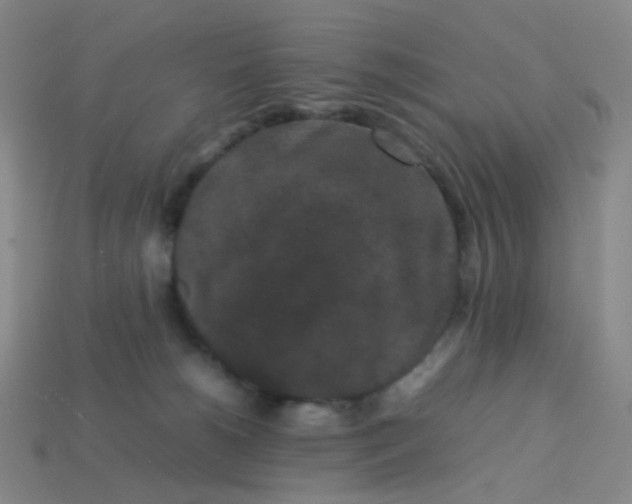 X0000113760180200910141055