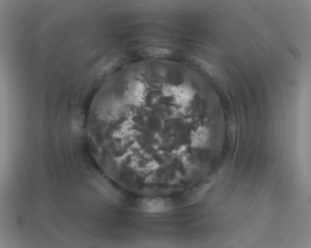 X0000113760181200910141056