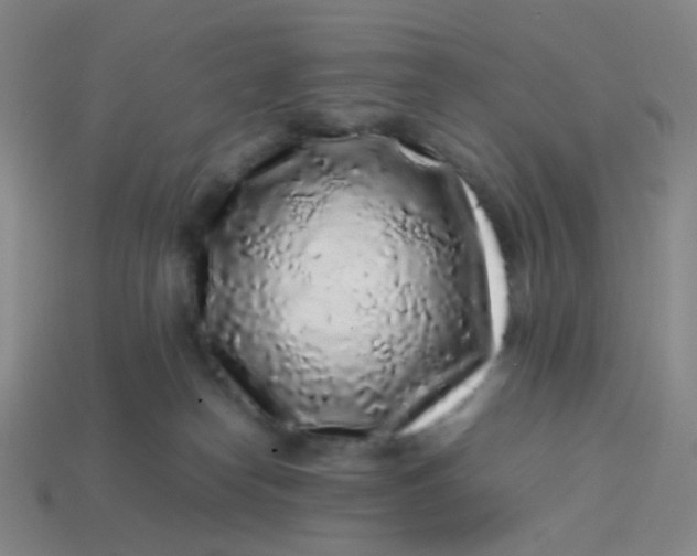 X0000113760182200910141056