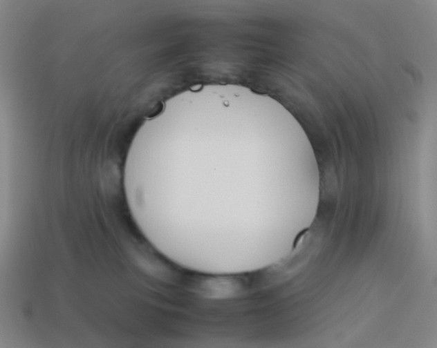 X0000113760183200910141056