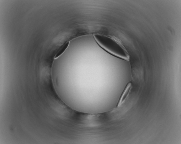 X0000113760184200910141056