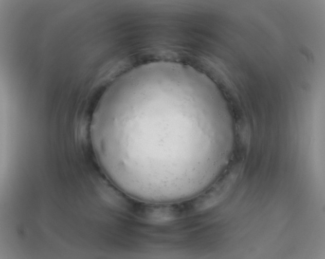 X0000113760185200910141056