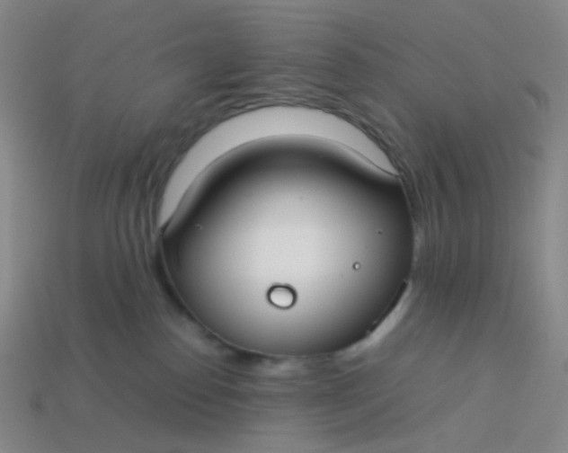 X0000113760186200910141056