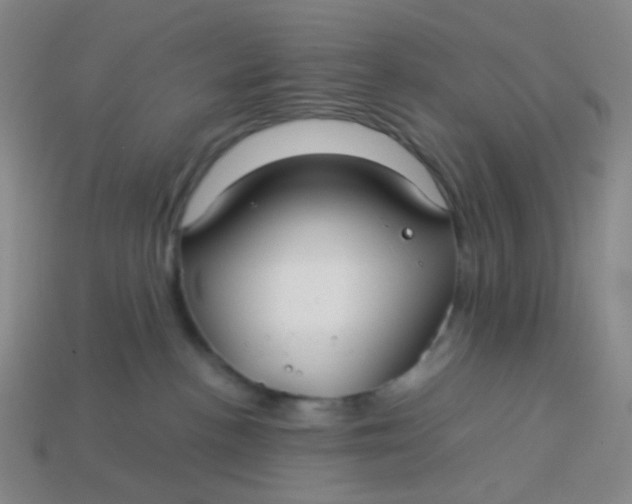 X0000113760188200910141056