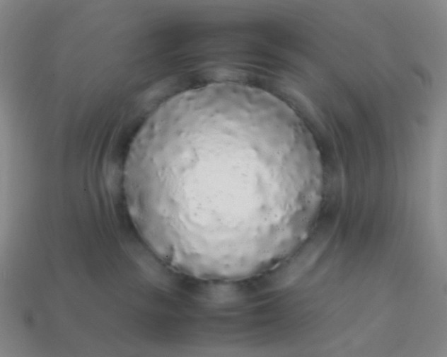 X0000113760189200910141056