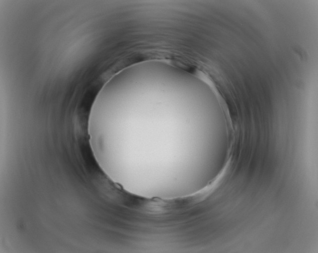 X0000113760190200910141056