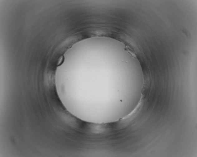 X0000113760191200910141056