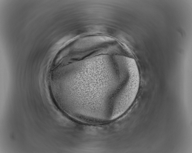 X0000113760193200910141055