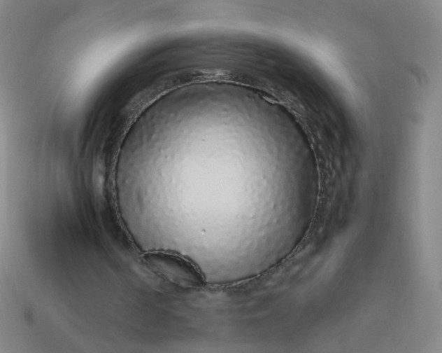 X0000113760194200910141055