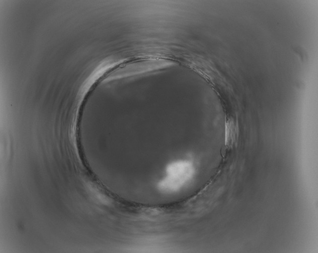 X0000113760195200910141055