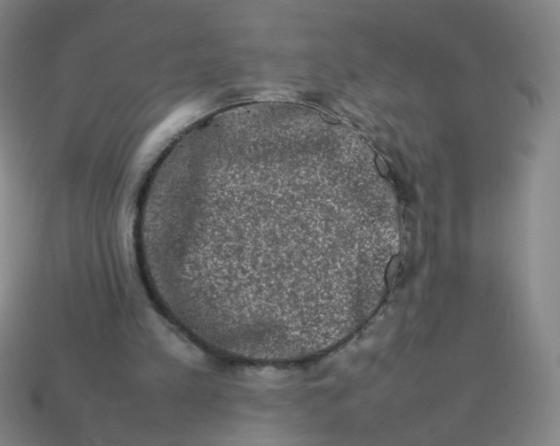 X0000113760197200910141055