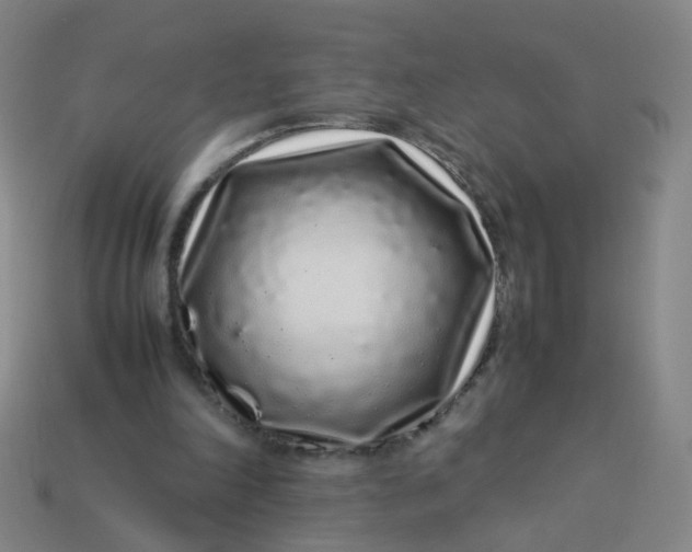 X0000113760198200910141055