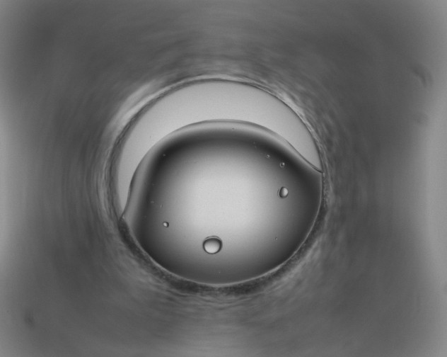 X0000113760199200910141055