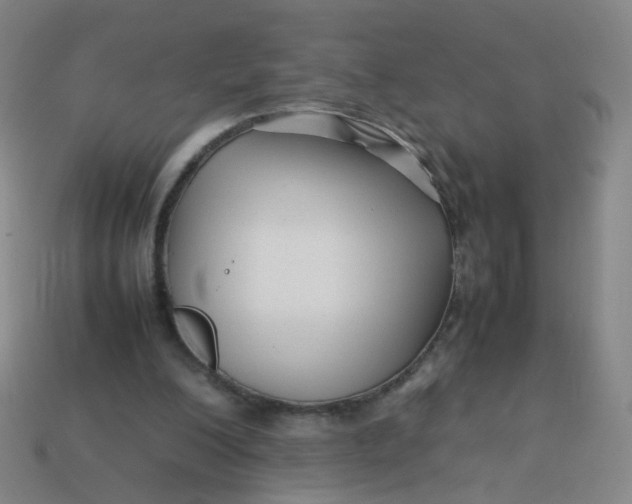 X0000113760200200910141055