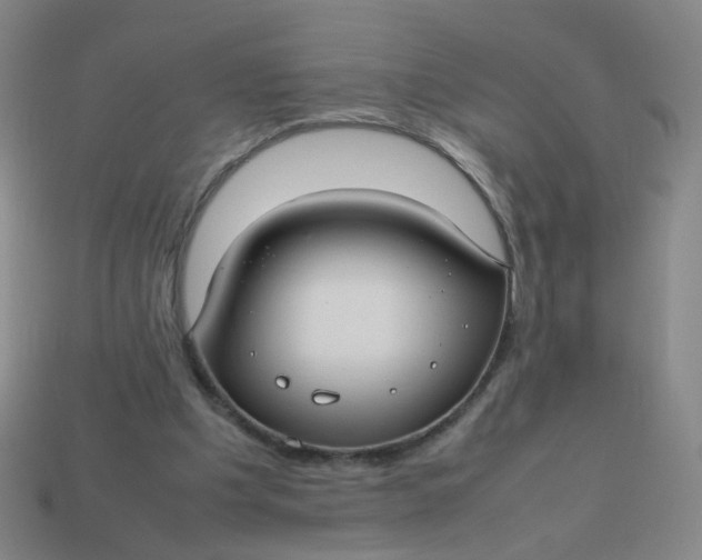 X0000113760201200910141055