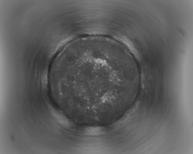 X0000113760202200910141055