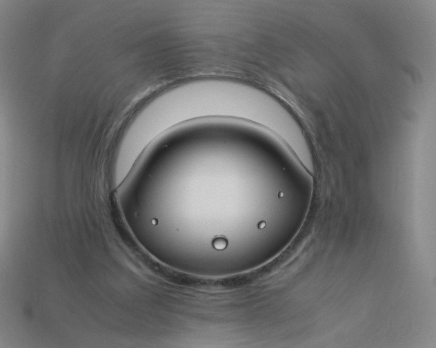 X0000113760203200910141055