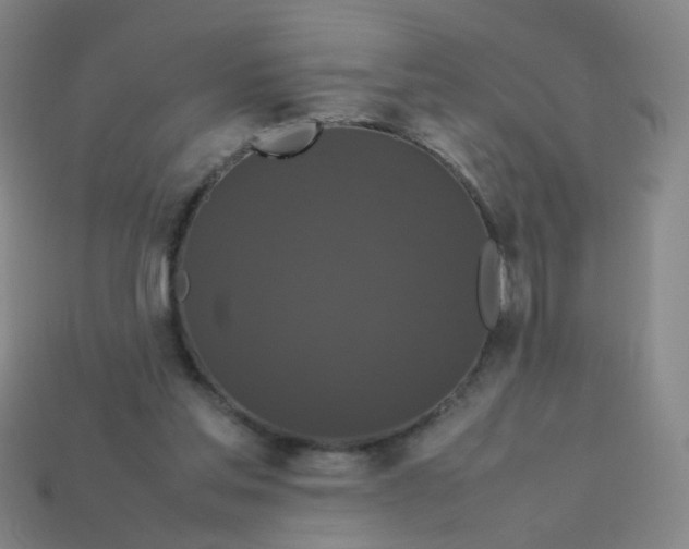 X0000113760205200910141055