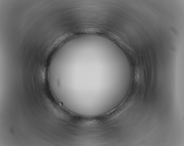 X0000113760206200910141055