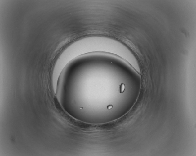 X0000113760207200910141055