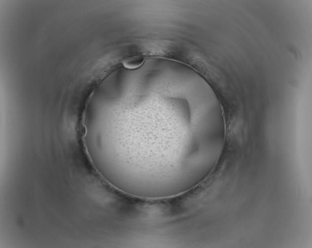 X0000113760209200910141055