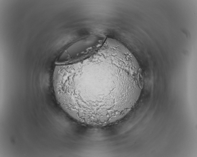 X0000113760211200910141055