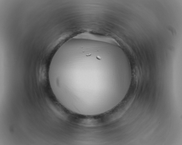 X0000113760212200910141055