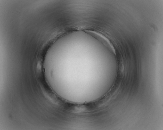 X0000113760214200910141055