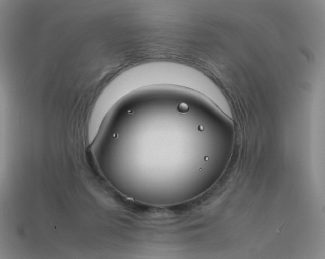 X0000113760215200910141055