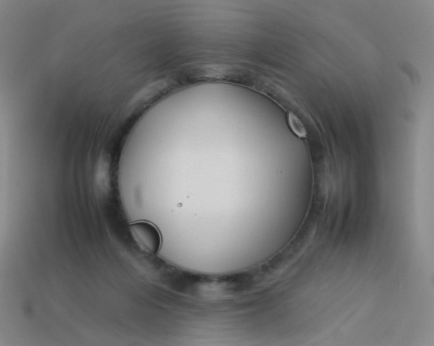 X0000113760216200910141055