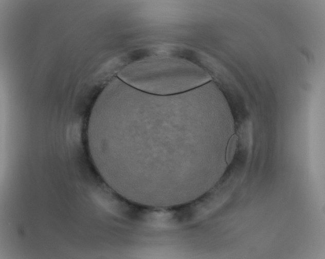 X0000113760217200910141055