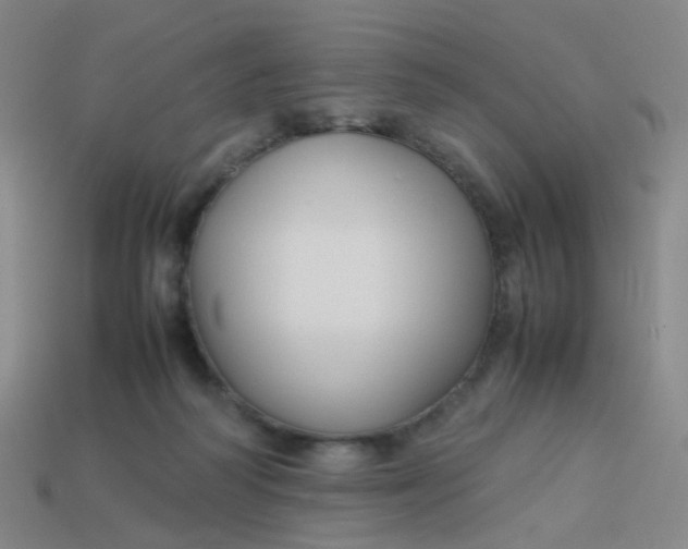 X0000113760218200910141055