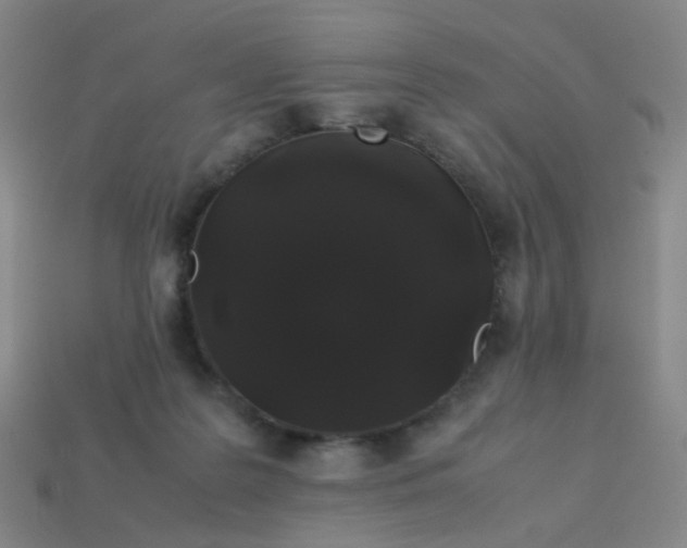 X0000113760219200910141055