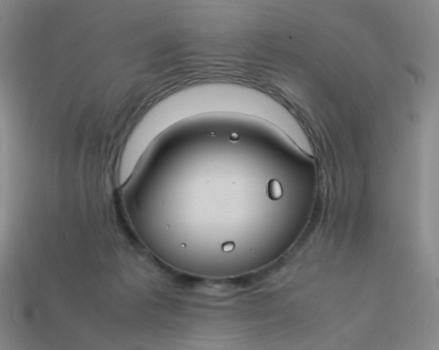 X0000113760221200910141055