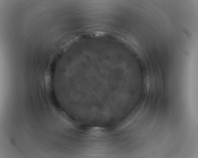 X0000113760222200910141055