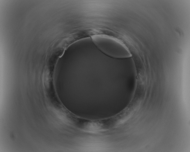 X0000113760223200910141055