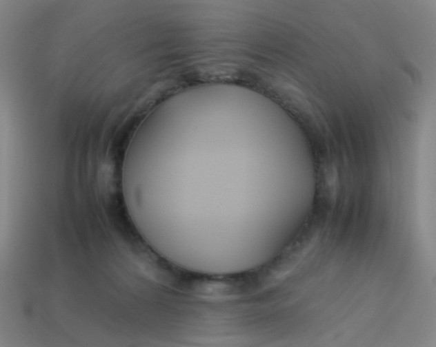 X0000113760224200910141055