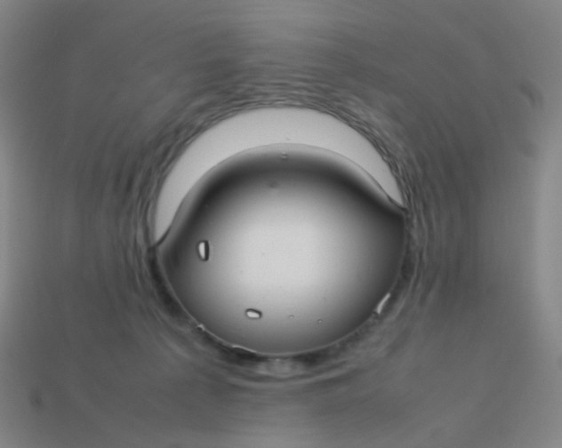 X0000113760225200910141055