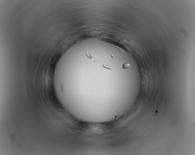 X0000113760226200910141055