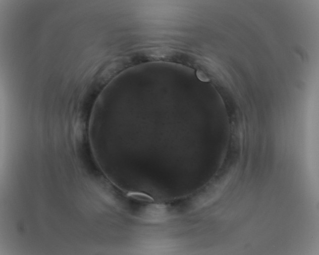 X0000113760227200910141055