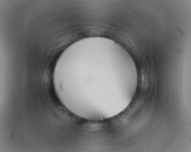 X0000113760228200910141055