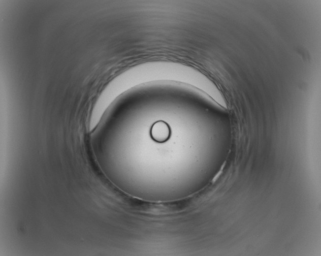 X0000113760229200910141055