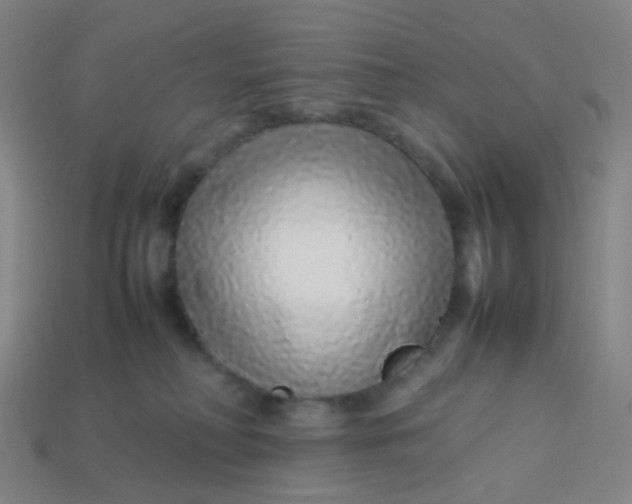 X0000113760230200910141055