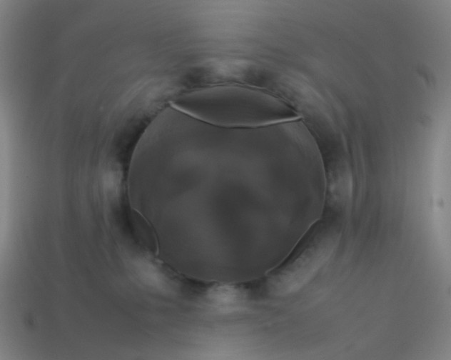 X0000113760231200910141055