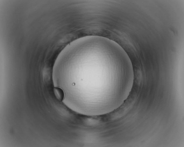 X0000113760232200910141055