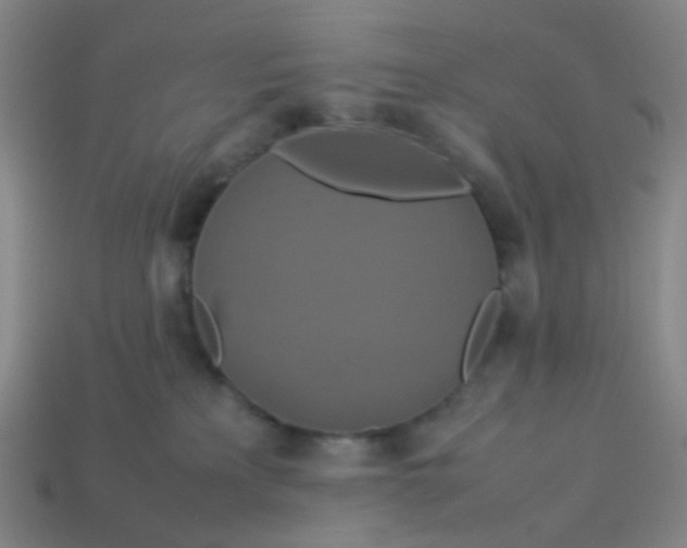 X0000113760233200910141055