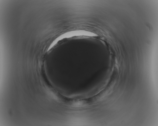 X0000113760235200910141054