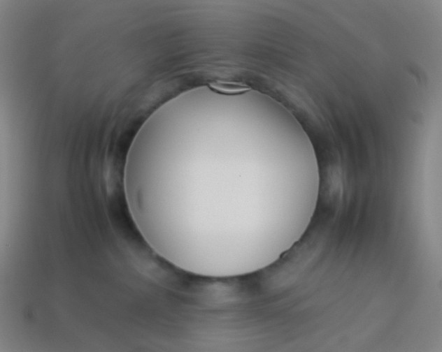 X0000113760236200910141054