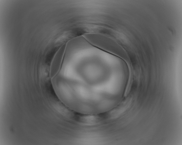 X0000113760237200910141054