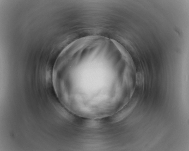 X0000113760238200910141054